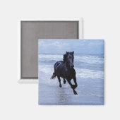 野生で自由な馬 マグネット (正面/裏面)