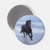 野生で自由な馬 マグネット (正面/裏面)