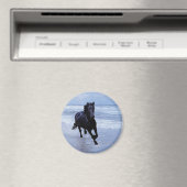 野生で自由な馬 マグネット (インサイチュ (食洗機))