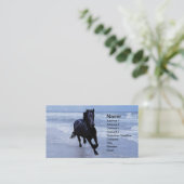 野生で自由な馬 名刺 (スタンド正面)