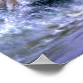 野生で自由な、カマルグ馬 ポスター (角)