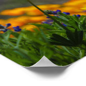 野生で自由な ポスター (角)