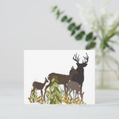 野生に住む者たち。森林動物 ポストカード (スタンド正面)