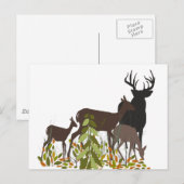 野生に住む者たち。森林動物 ポストカード (正面/裏面)