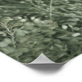 野生のかわいらし写真にセージ緑の植物の生活 ポスター (角)