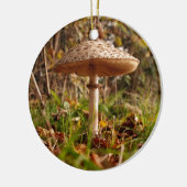 野生のきのこ セラミックオーナメント (左)