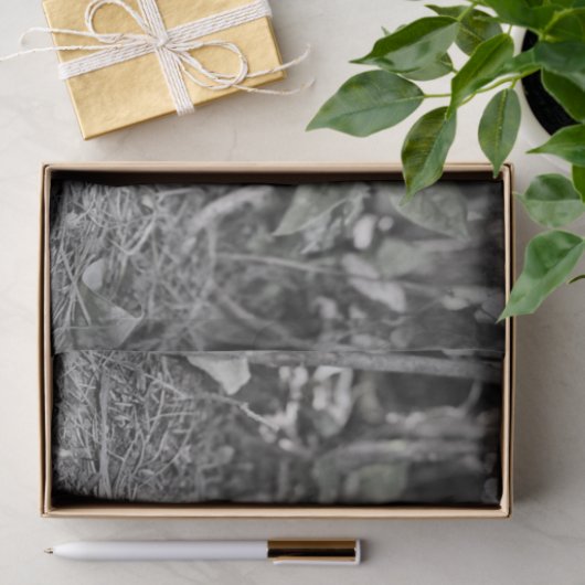 野生のきのこ(Toadstool) 薄葉紙 (ギフト)