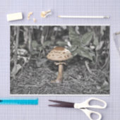 野生のきのこ(Toadstool) 薄葉紙 (クラフト)