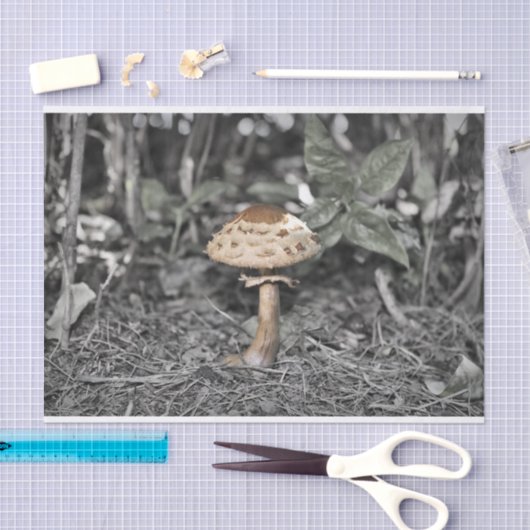 野生のきのこ(Toadstool) 薄葉紙 (クラフト)