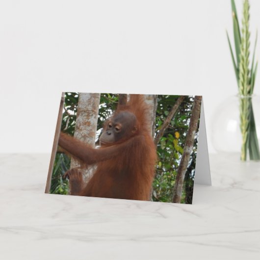 野生のためにあなたバレンタインモホークの髪 シーズンカード (正面)