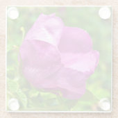 野生のばら色のコースター ガラスコースター (裏面)