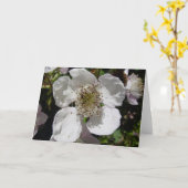 野生のばら色の花 カード (黄色い花)