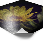 野生のひまわり フォトプリント            (角)