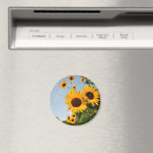 野生のひまわり マグネット (インサイチュ (食洗機))