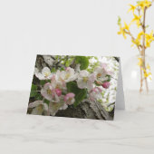 野生のりんごの花-挨拶状 カード (黄色い花)