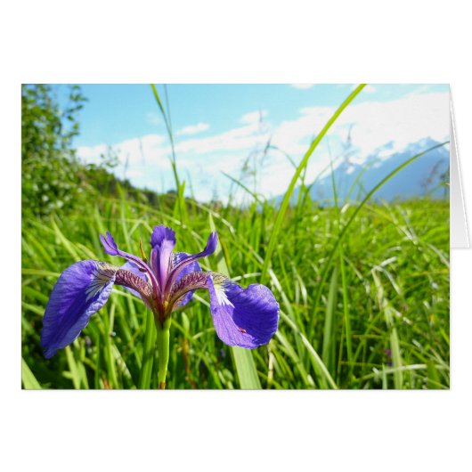 野生のアイリスとアラスカの風景 (正面横)