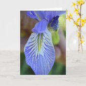 野生のアイリス挨拶状 カード (黄色い花)