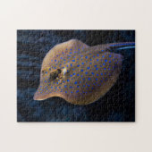 野生のアカエイの魚の海の海種の生物 ジグソーパズル (横)