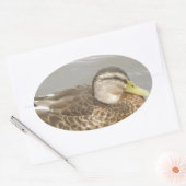 野生のアヒルが泳いでいる 楕円形シール (封筒)