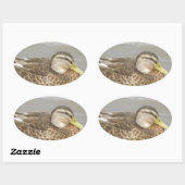 野生のアヒルが泳いでいる 楕円形シール (シート)