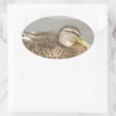 野生のアヒルが泳いでいる 楕円形シール (バッグ)