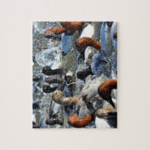 野生のアヒルが破裂