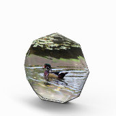 野生のアヒルのフォトブロック フォトブロック (右)