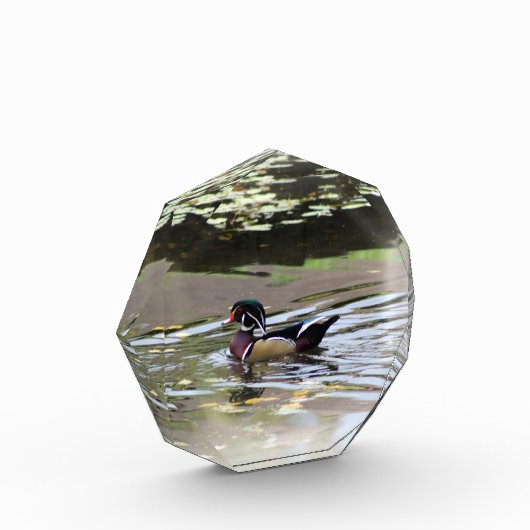 野生のアヒルのフォトブロック フォトブロック (左)