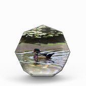 野生のアヒルのフォトブロック フォトブロック (正面)