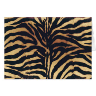 野生のアフリカのフェイクなシマウマ