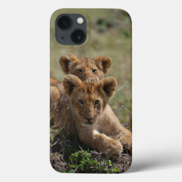 野生のアフリカのライオンのカブスiPad Mini事件 iPhone 13ケース