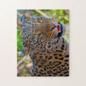 野生のアフリカヒョウ。 ジグソーパズル (縦)