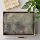 野生のアフリカライオンの仔 薄葉紙 (ギフト)