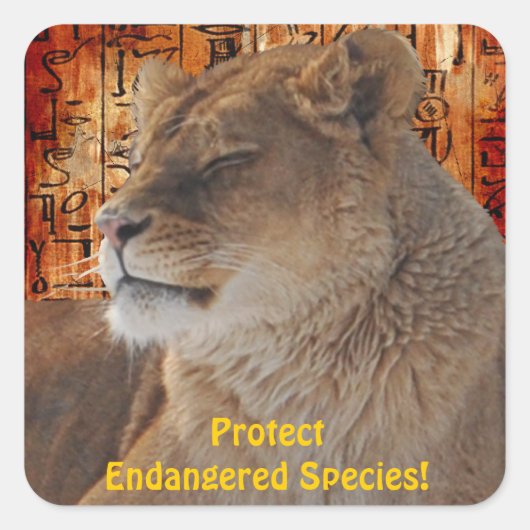 野生のアフリカ動物を愛するビッグ5 スクエアシール (正面)