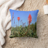 野生のアロエ枕 クッション (ブランケット)