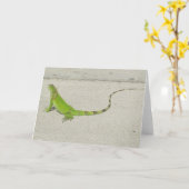 野生のイグアナ カード (黄色い花)