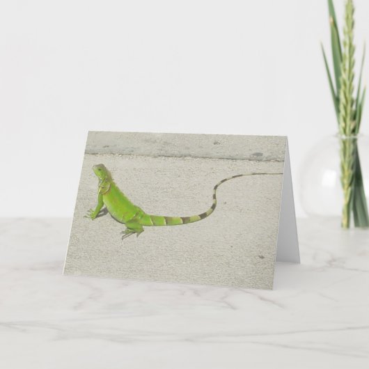 野生のイグアナ カード (正面)