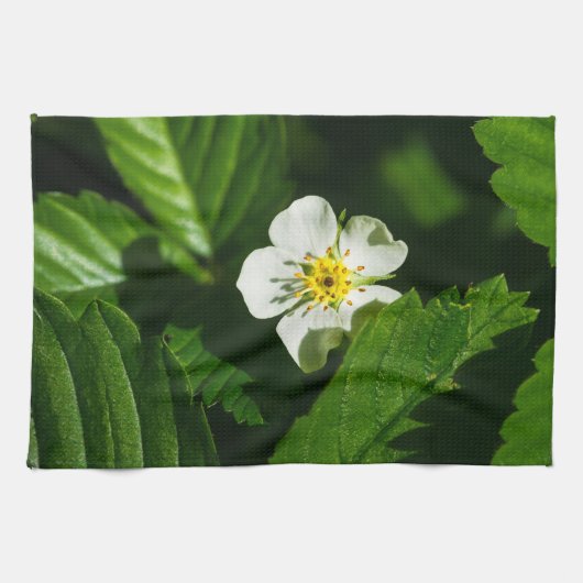 野生のイチゴの花 キッチンタオル (横)