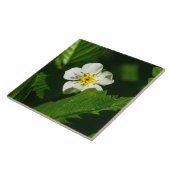 野生のイチゴの花 タイル (側面)