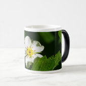野生のイチゴの花 モーフィングマグカップ (正面右)