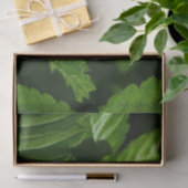 野生のイチゴの花 薄葉紙 (ギフト)