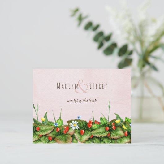 野生のイチゴ牧草花赤面水色 案内ポストカード (スタンド正面)