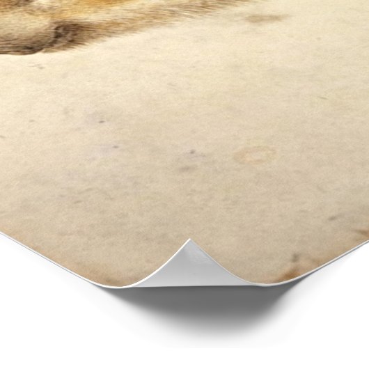 野生のイノシシの赤ちゃん / 動物の絵 ポスター (角)