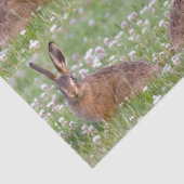 野生のウサギがクローバーに座ってティッシュペーパー 薄葉紙 (詳細)