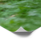 野生のウサギのバンテージ写真のポスター ポスター (角)