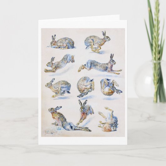 野生のウサギ（ウサギ）勉強，ブルーノリレジェフォス カード (正面)