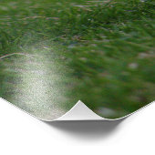 野生のウサギ フォトプリント            (角)