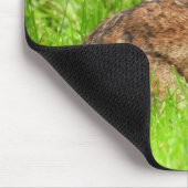 野生のウサギ マウスパッド (コーナー)