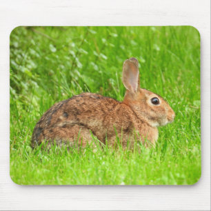 野生のウサギ マウスパッド