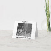 野生のオオカミのメッセージカード カード (裏面)